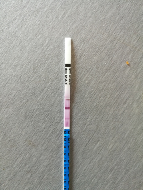 3686b61ed1547202med.jpg