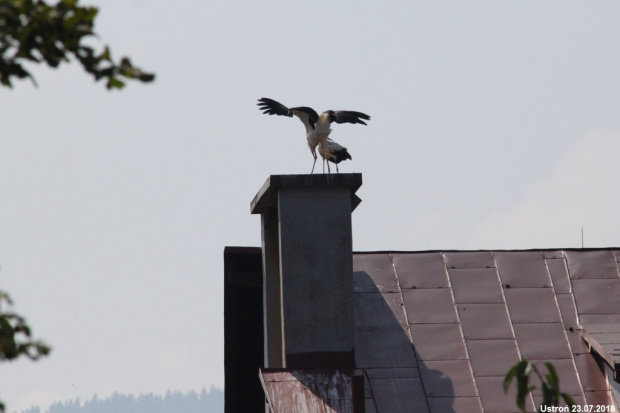 Beskidek Ligocki i Czantorka na dachu kościoła.