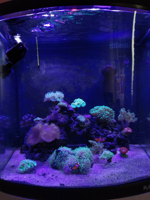 aff2ec4b607f4c75med.jpg