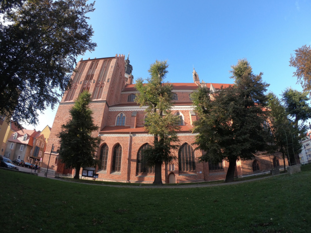 Kolegiata Najświętszej Maryi Panny Królowej Świata