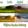 Wiosna-Lato-Jesien-Zima-Piekno-Natury_duchowaprawda.blogspot.com