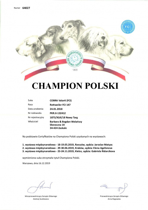 Champion Polski