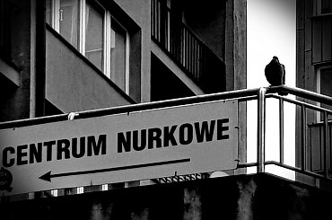 #PstrykCodzienny - przed skokiem na główkę