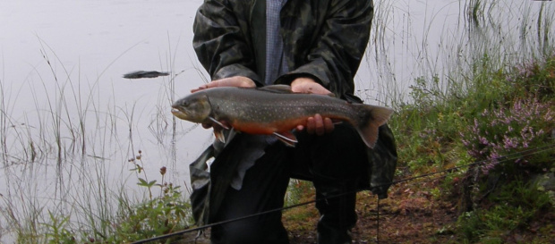 Obrazek