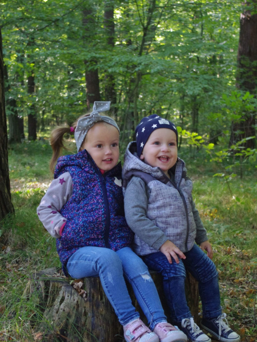 d724b514fd624889med.jpg