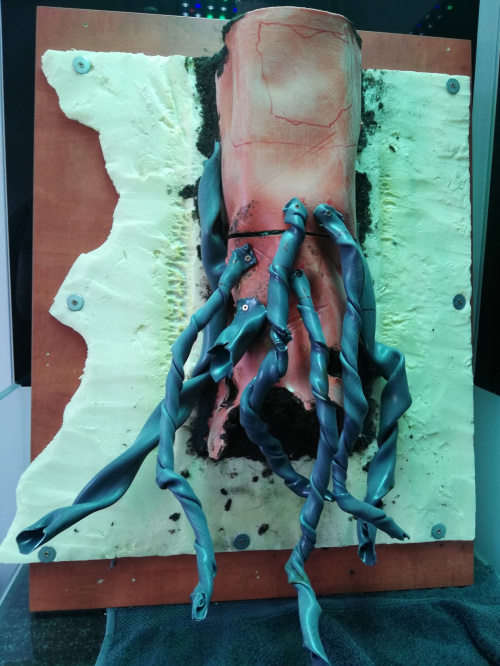 475a9bcb4be18ccemed.jpg