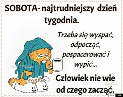 Obrazek