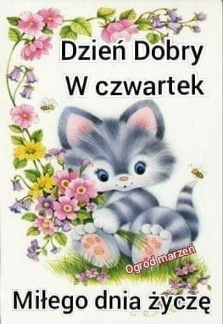 Obrazek