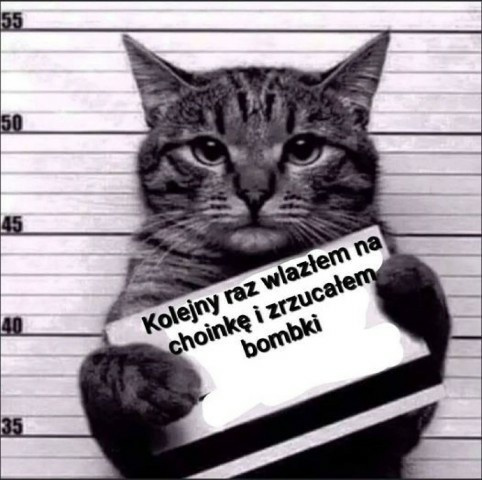 Obrazek